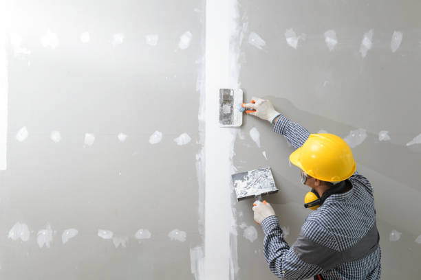 Best Dehumidification Services  in Fort Davis, TX