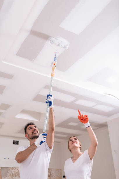  Fort Davis, TX Mold Removal Pros