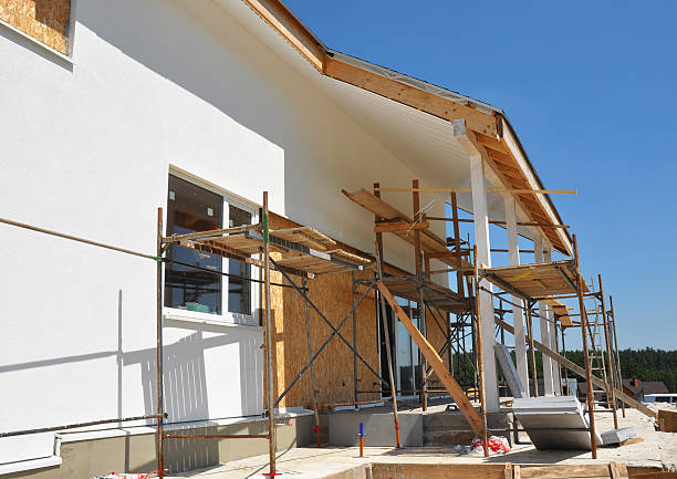 Best Environmental Consulting for Mold Prevention  in Fort Davis, TX