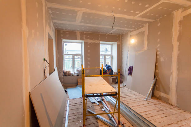 Best Attic Mold Removal  in Fort Davis, TX